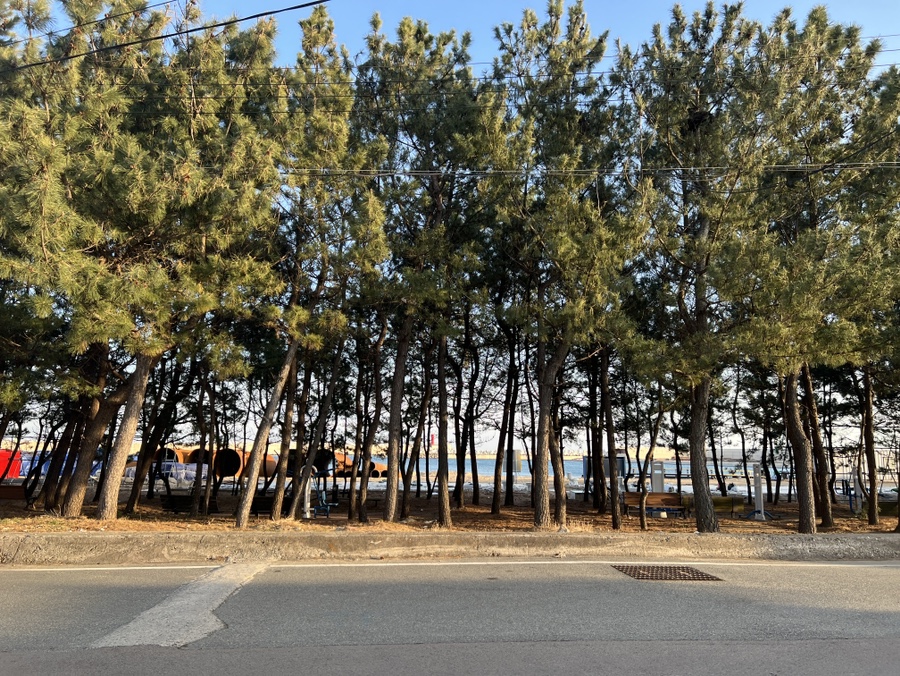 순양호영덕대게직판장 이미지