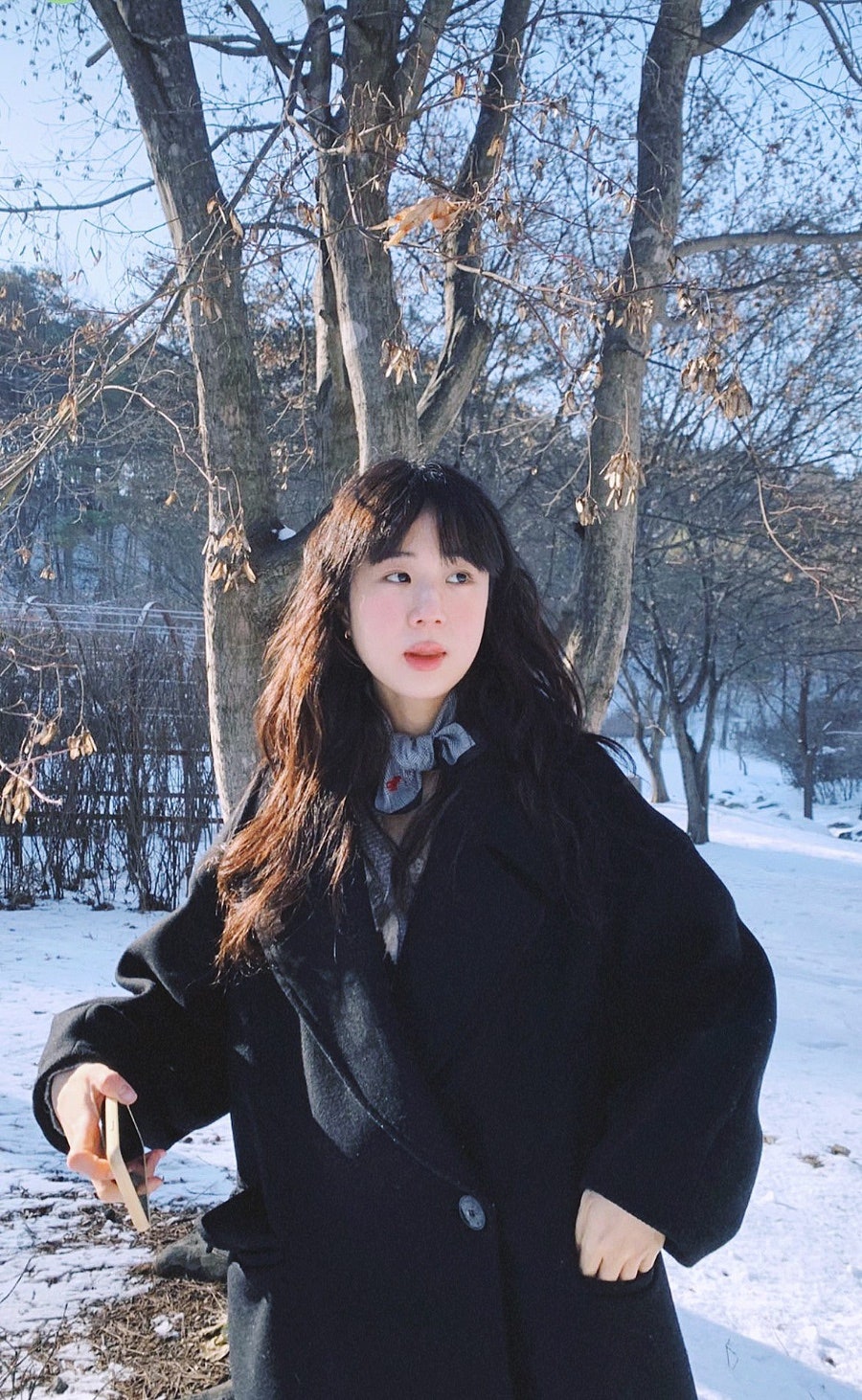 스시봄 이미지