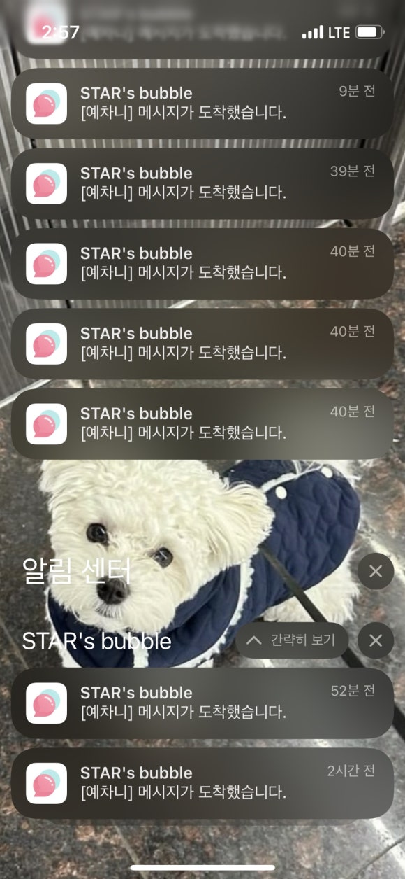 맘스애찬 이미지