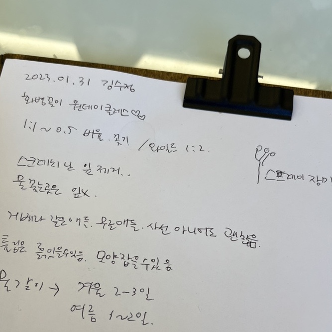 라르브르플라워스튜디오 이미지