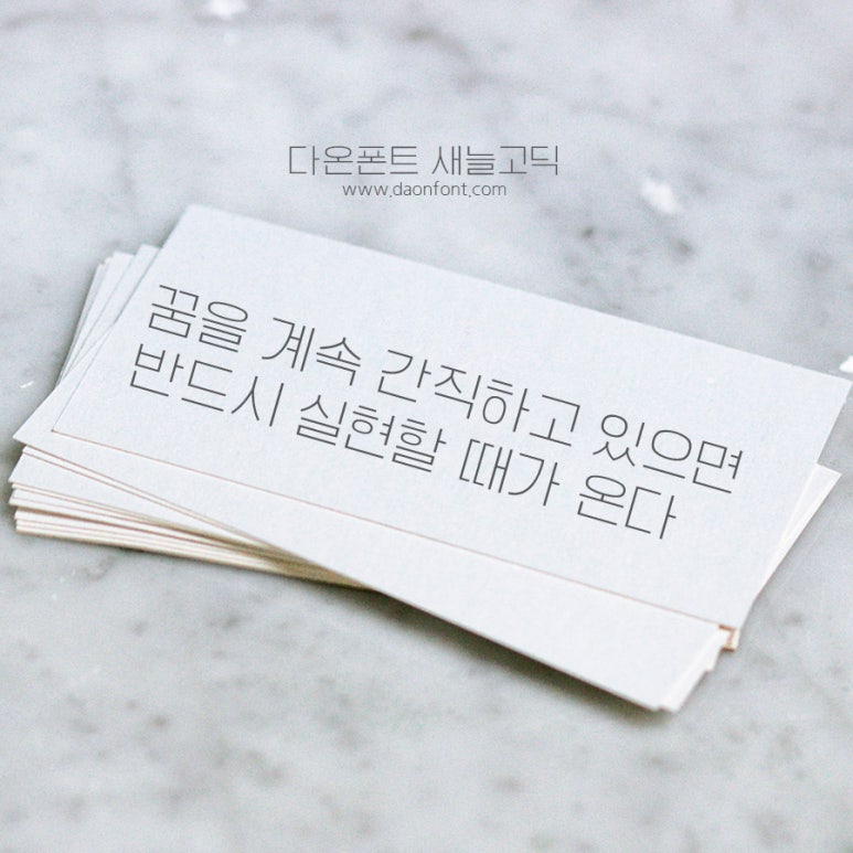 새늘 이미지