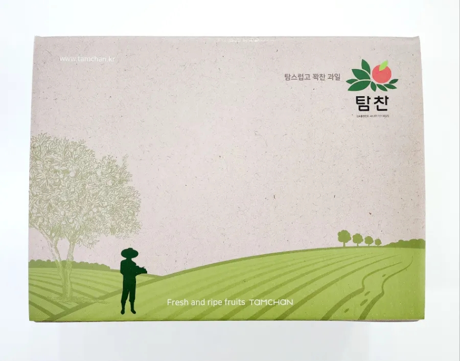 탐찬 이미지