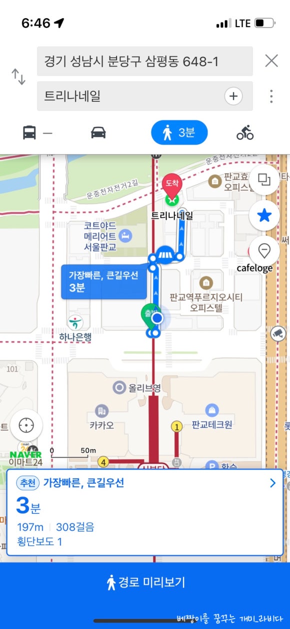 트리나네일 이미지