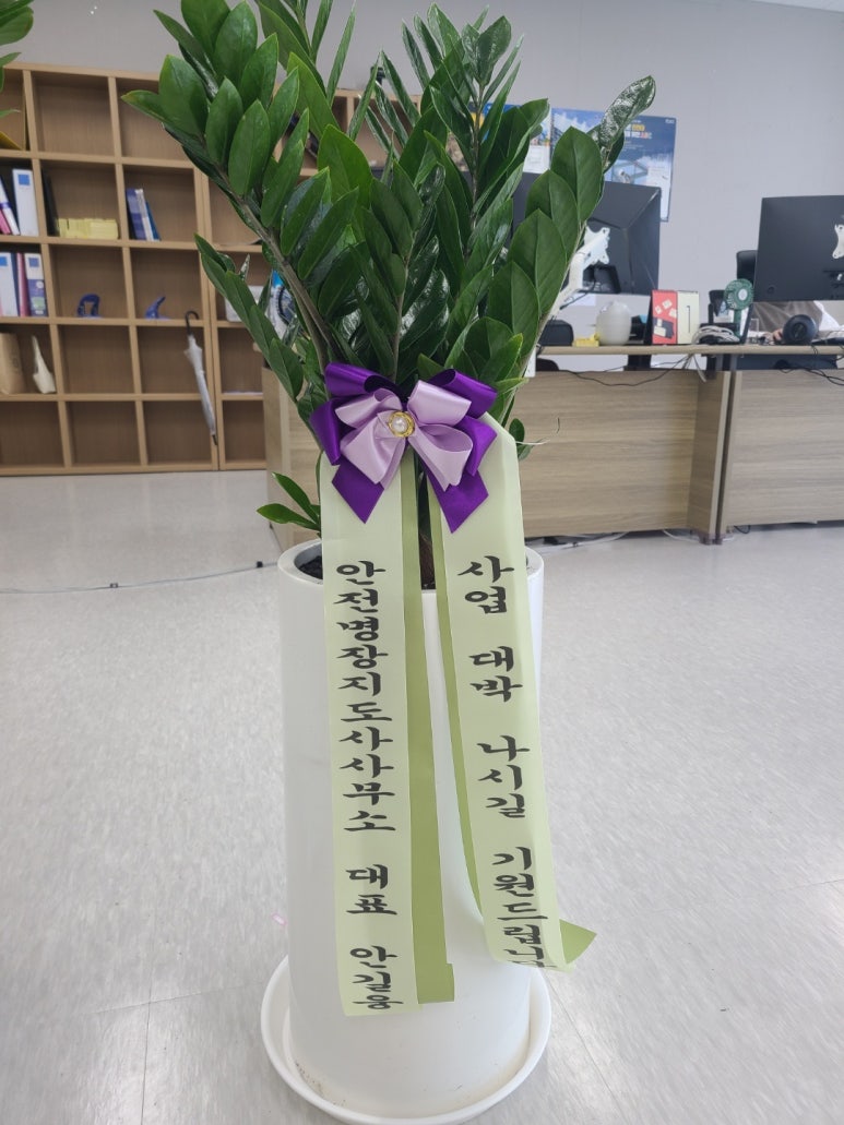 대성세이프티 이미지