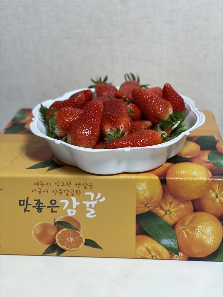 탐찬 이미지