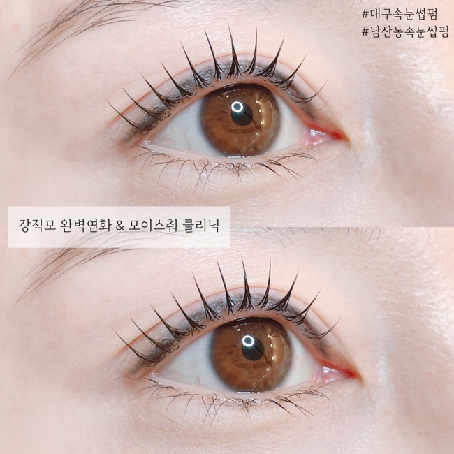 모숲 이미지