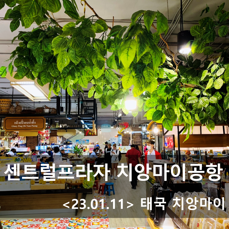 메이저푸드 이미지