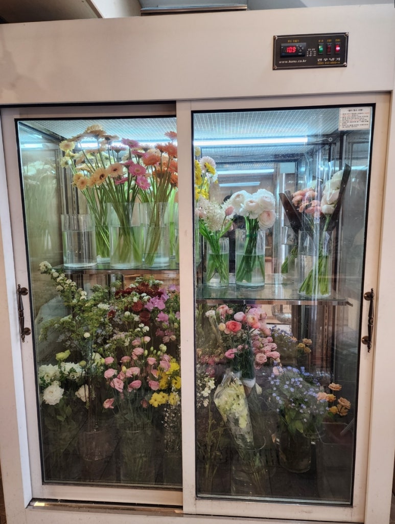 그린메이화원 이미지