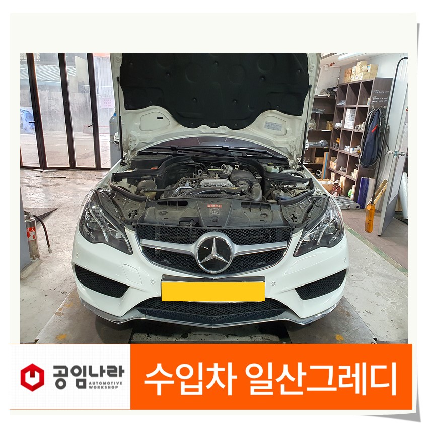 일산그레디 이미지
