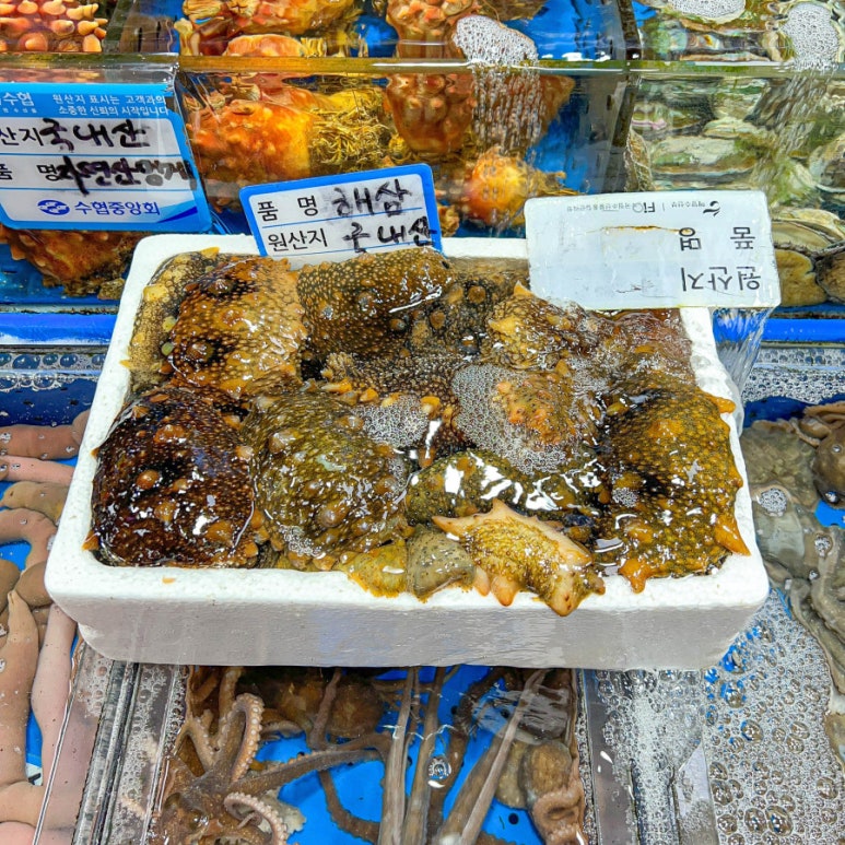 88수산 이미지