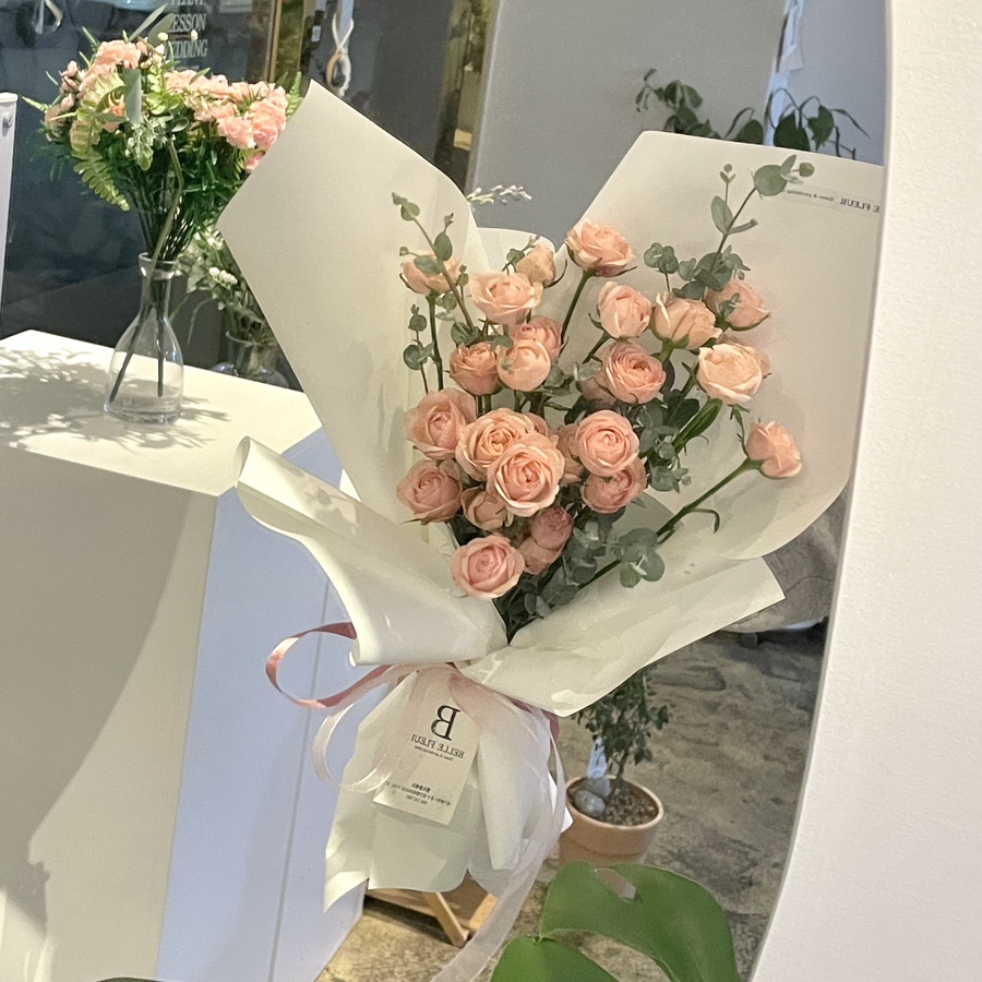 벨르플레르 이미지