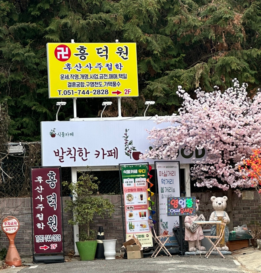 발칙한카페우디 이미지