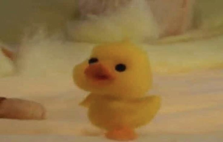 영덕대게수산 이미지