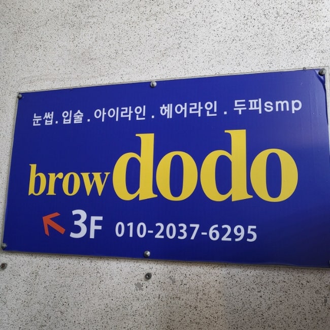 도도브로우 이미지