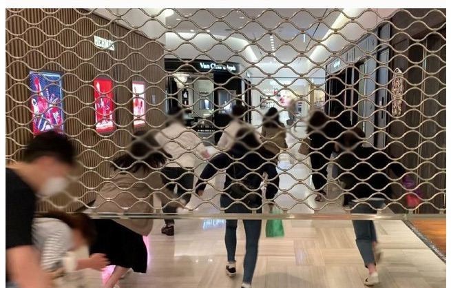 피규어가게 이미지