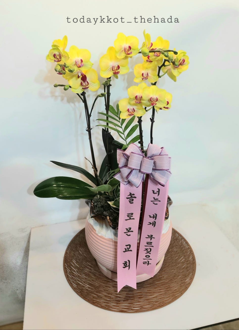 꽃난화 이미지