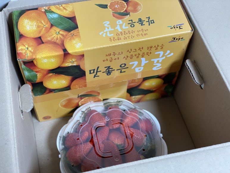 탐찬 이미지