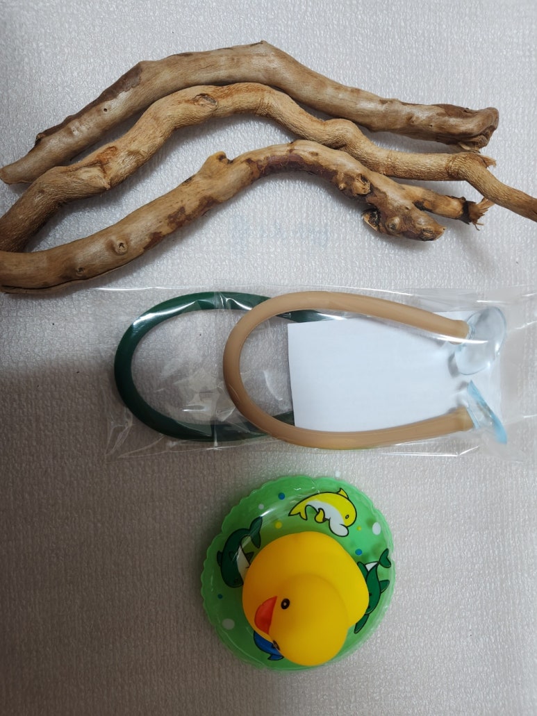 방달팽이 연구소 이미지