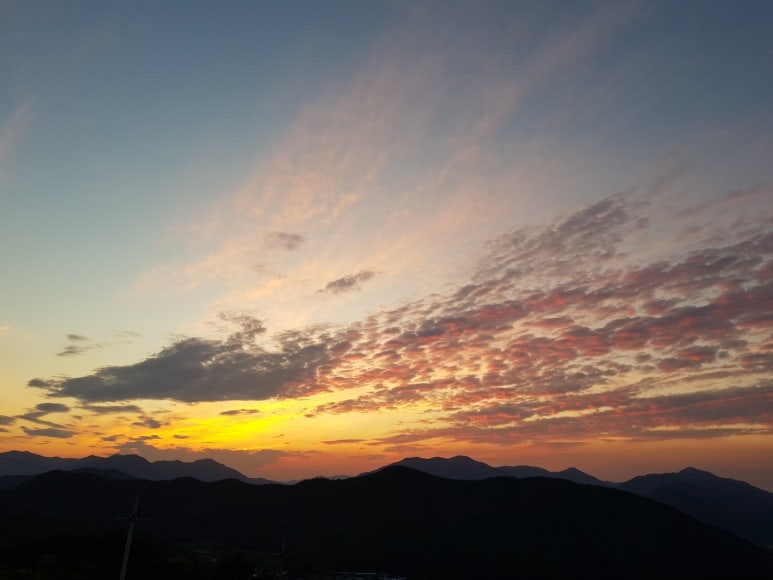 선셋101 이미지