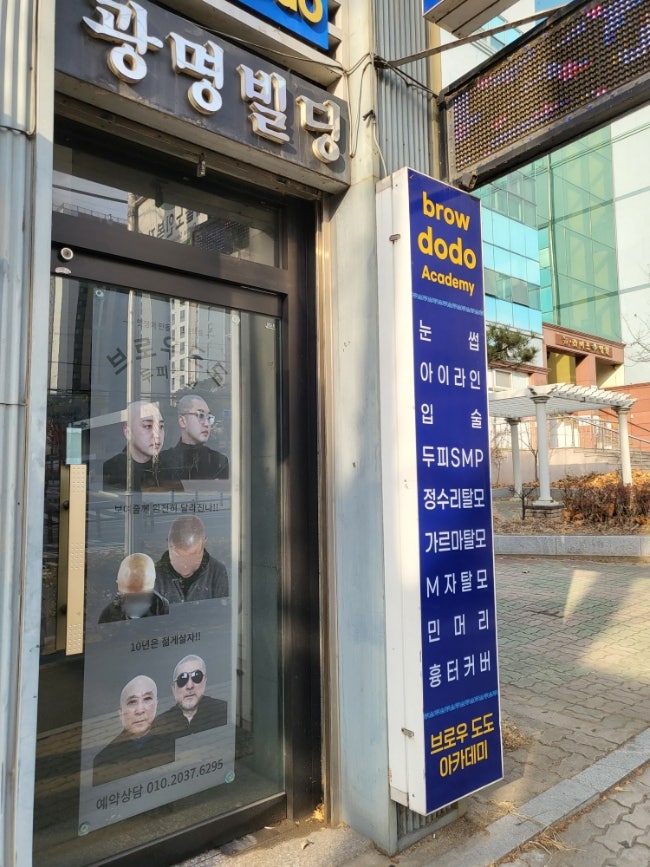 도도브로우 이미지