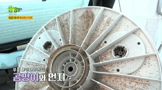 청춘청소 이미지