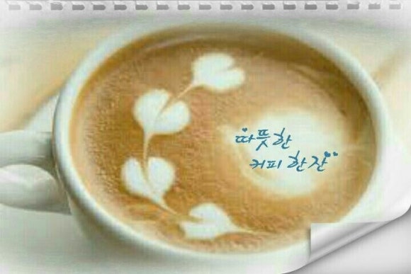 산골흑염소 이미지