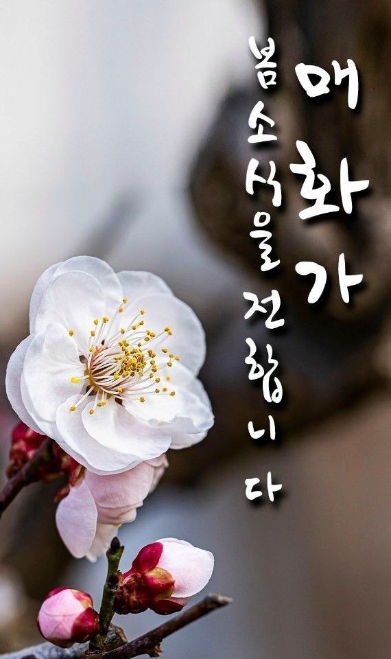 예쁜하루 이미지