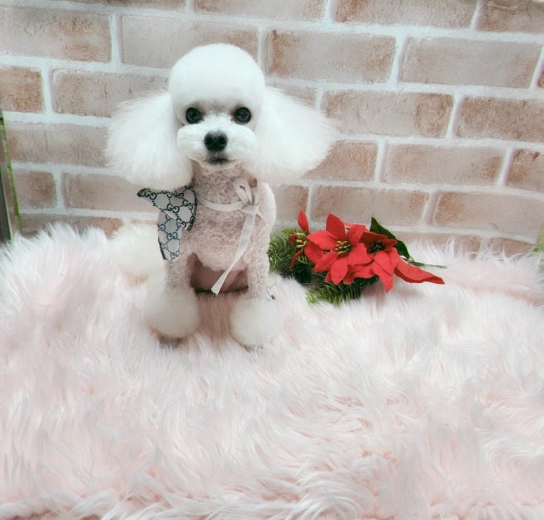 소미미용실 이미지