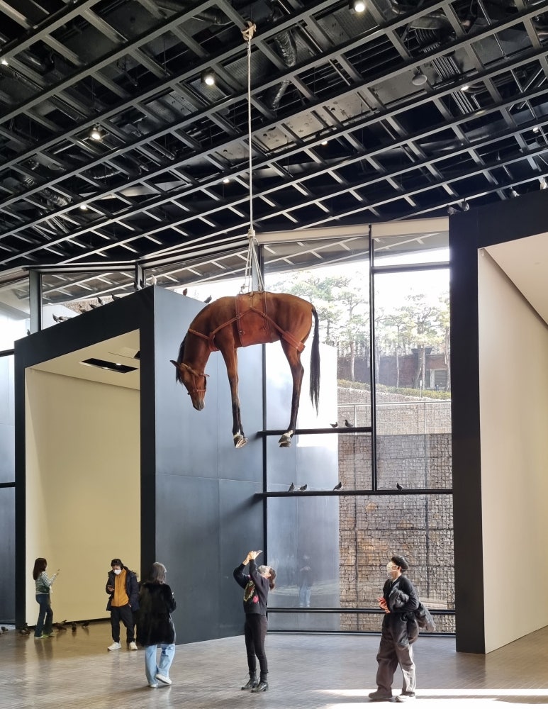 전진문화사 이미지
