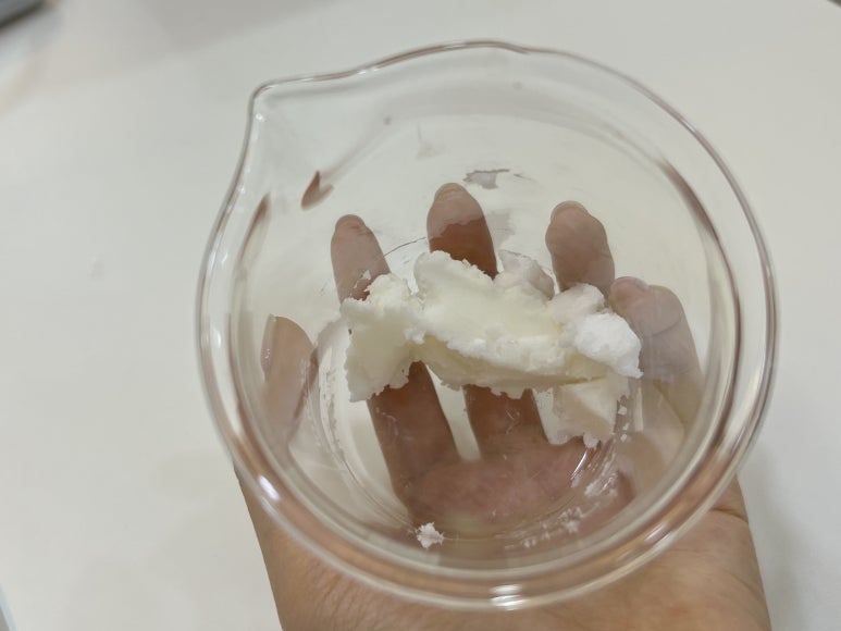 하얀소나무 이미지