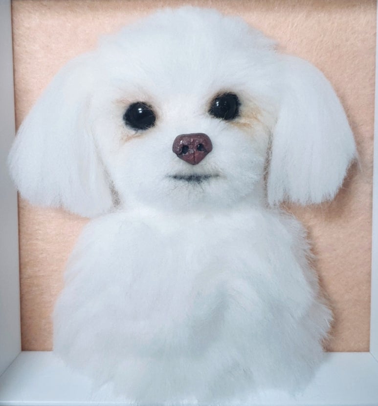 말랑주디 이미지