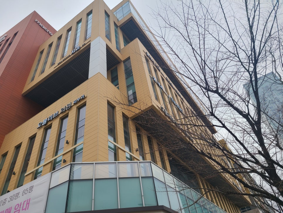오블리브의원송도 이미지