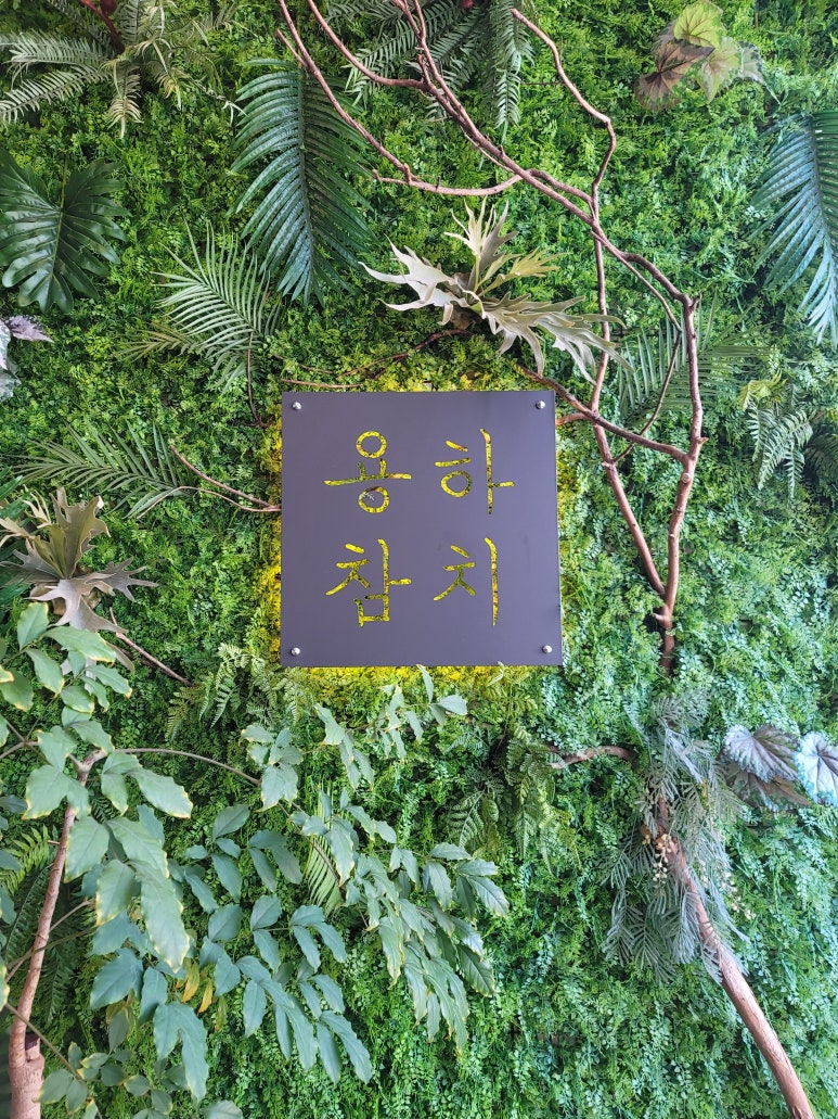 용하초밥참치 이미지