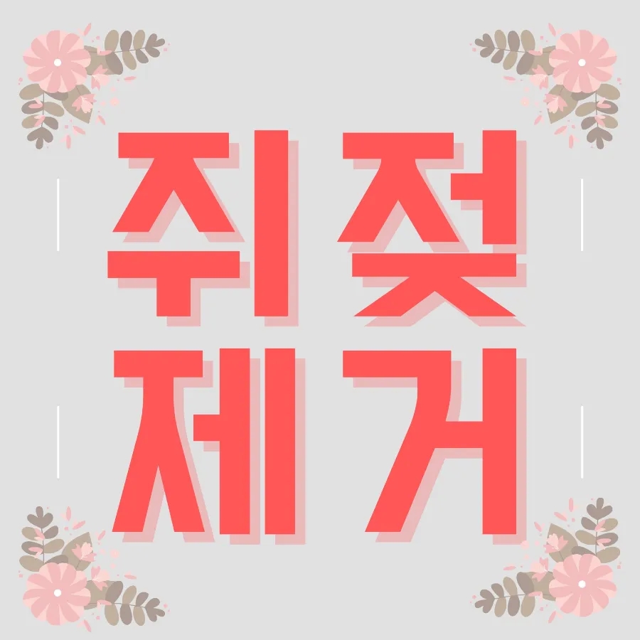 일산실면도 이미지