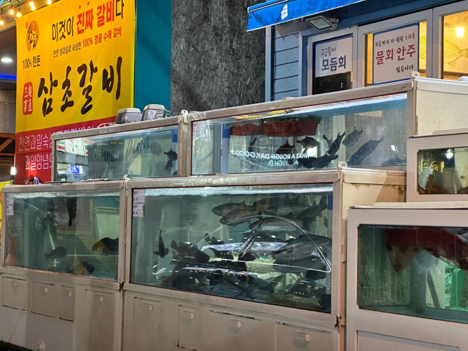오늘도매횟집 이미지
