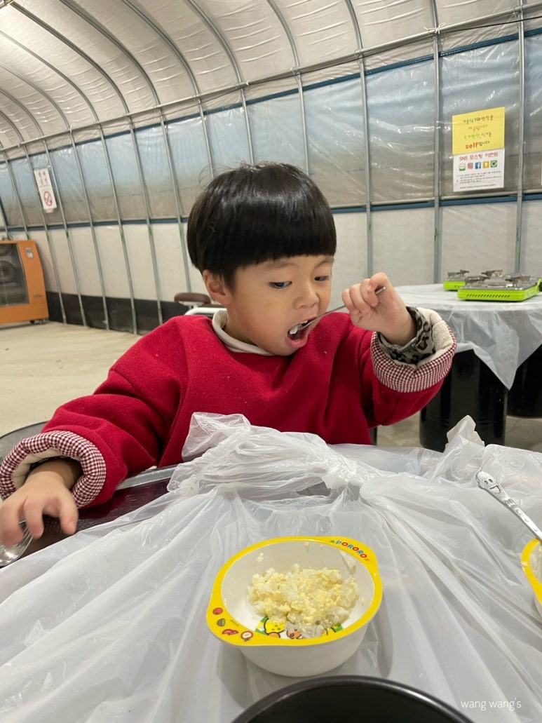 돈참새미 이미지