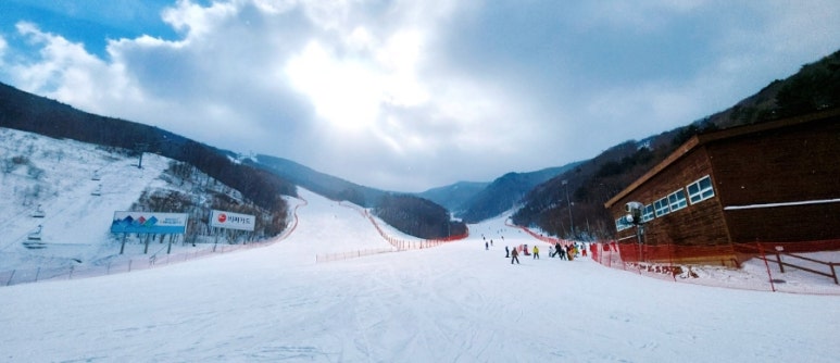 산낙지촌 이미지