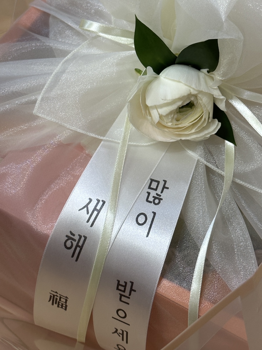 돌체푸르타 이미지