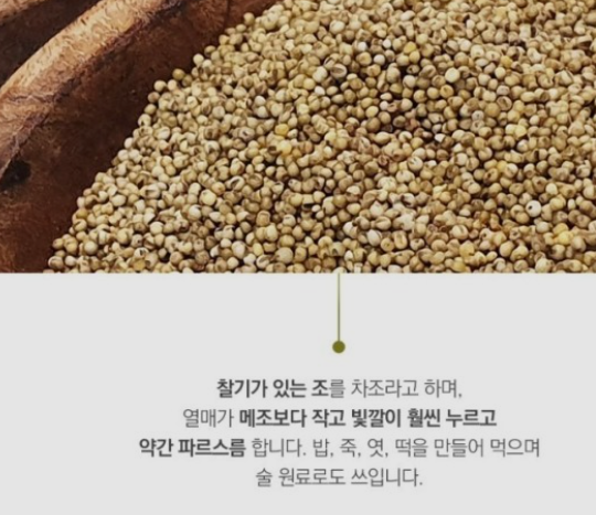 에이치디엘 이미지