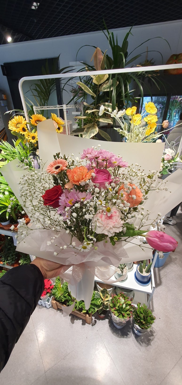 피어라플라워 이미지