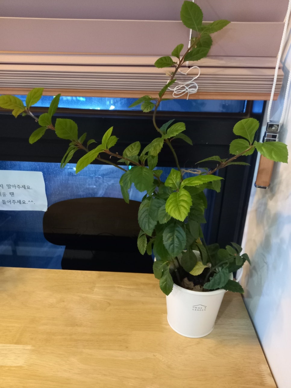 메가24스터디카페 이미지