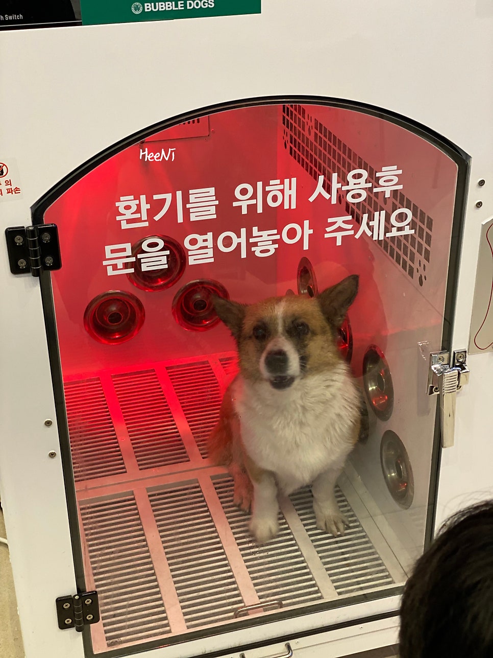 버블독스광주양산점 이미지
