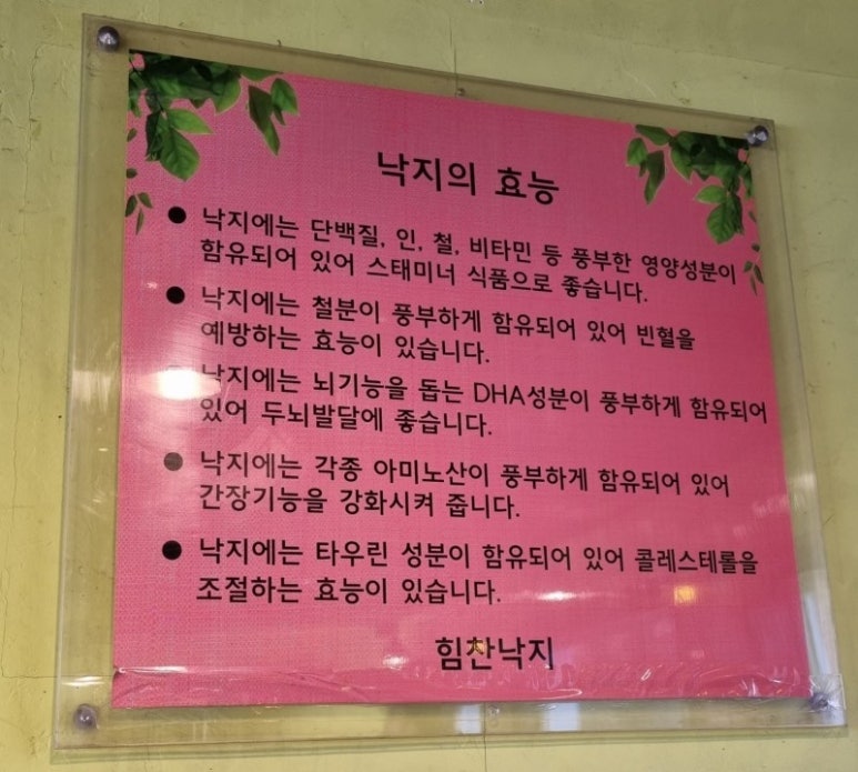 장어랑낙지 이미지