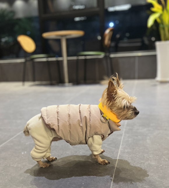 도굿스토리 이미지