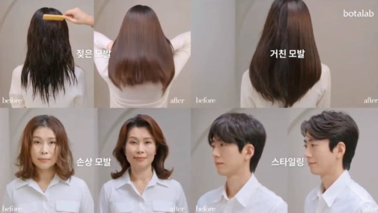 보타랩헤어 이미지