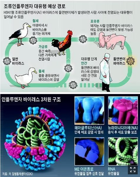 비즈포유 이미지