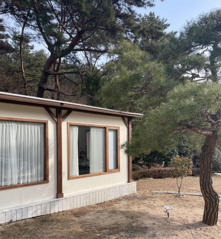 SunnySideUp(써니사이드업) 이미지