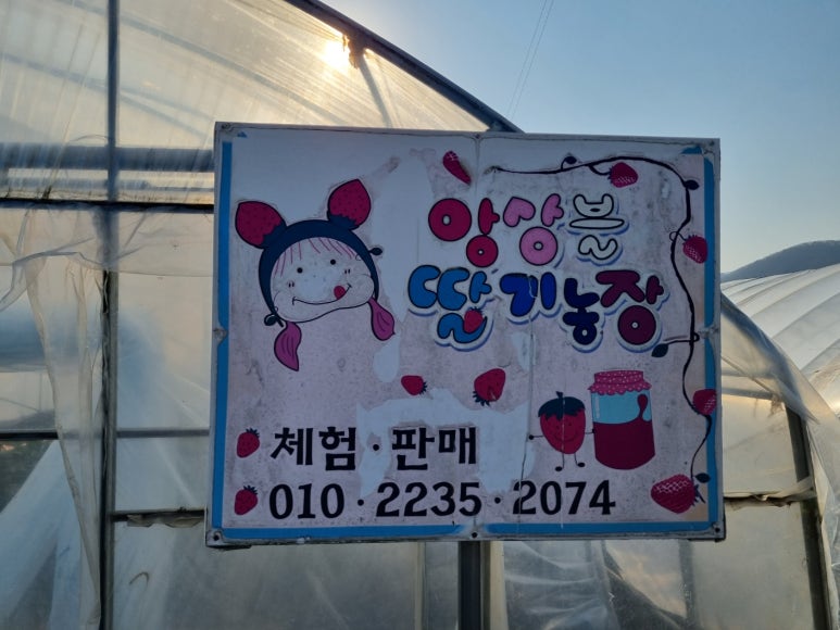 앙상블딸기농장 이미지