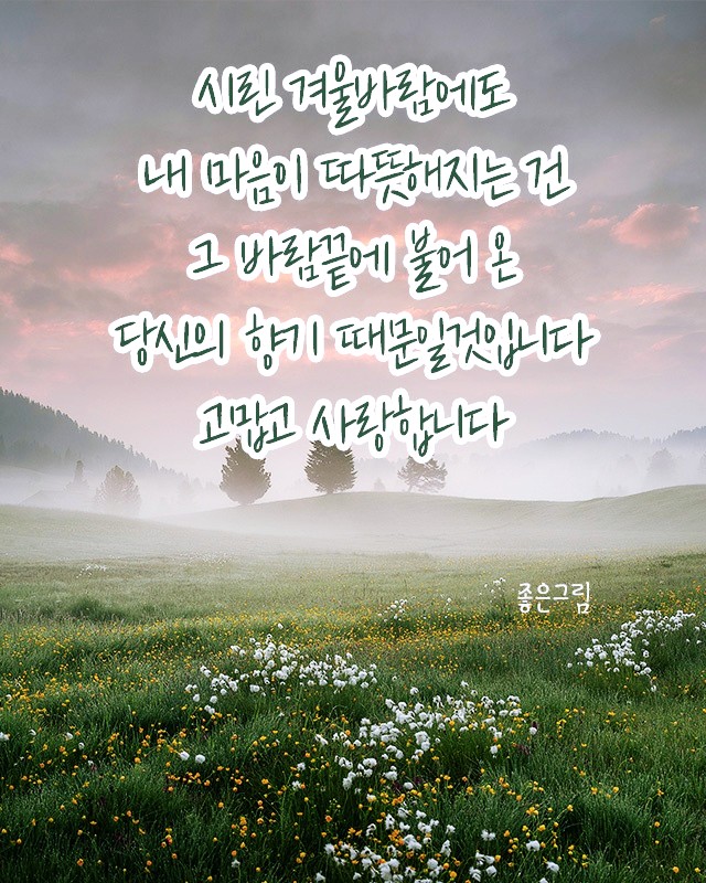 빛가람타이어 이미지