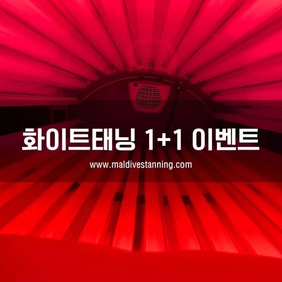 화이트샵 이미지